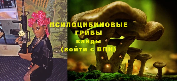 сатива Аркадак
