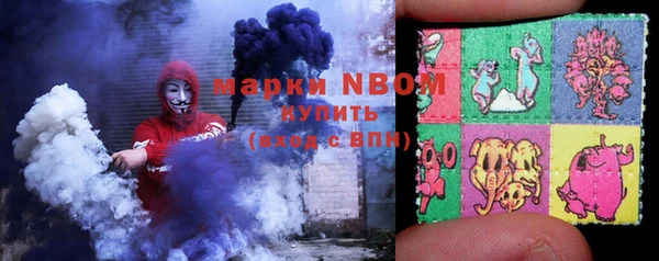 крисы Армянск