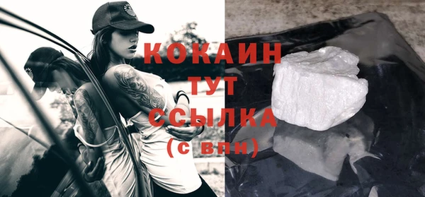сатива Аркадак