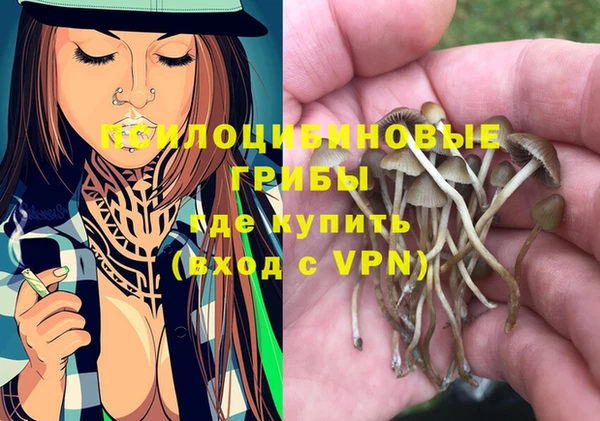сатива Аркадак