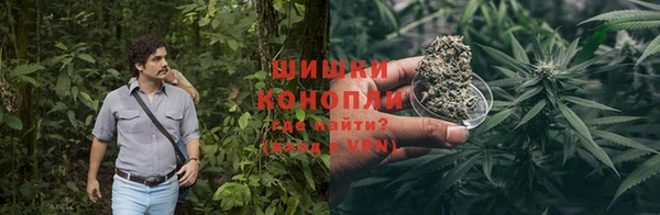 крисы Армянск