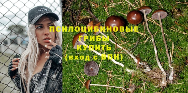 альфа пвп Краснослободск