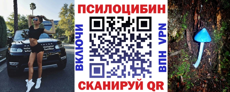 Псилоцибиновые грибы ЛСД  мориарти какой сайт  Камбарка 